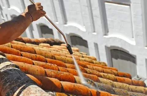 Nettoyage de toitures - Achères